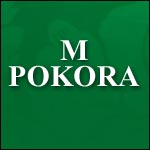 M POKORA EN TOURNÉE 2017 : Concerts à Paris Bercy et en Province