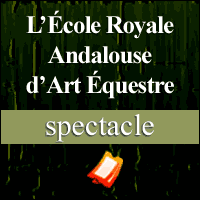 L'École Royale Andalouse d'Art Équestre en Spectacle à Paris en 2016 !