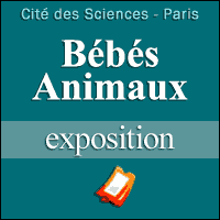 Billets Exposition Bébés Animaux
