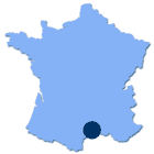 Concerts des Enfoirés à Montpellier 2015