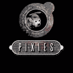 Les Pixies en concert au Zénith de Nantes en Juin 2010 : Info-billetterie & Réservation