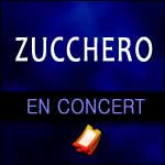 Actu Zucchero