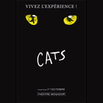 Actu Cats