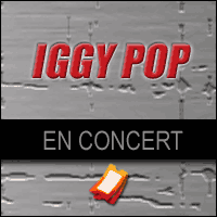 Actu Iggy Pop