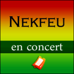 Places de Concert Nekfeu