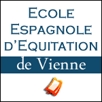 Places Spectacle Ecole Espagnole d'Equitation de Vienne