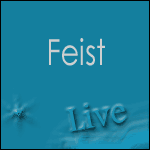 Places Concert Feist