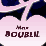 Places Spectacle Max Boublil