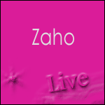 Places Concert Zaho