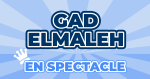 Gad Elmaleh en Spectacle